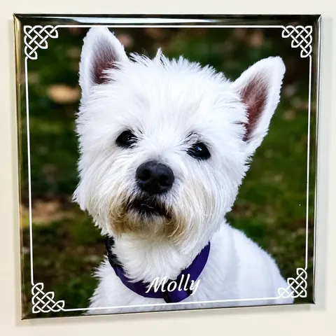 Pet Magnets - Custom Text